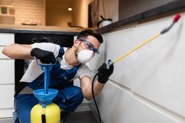 Best Best Pest Control Companies  in Birch Bay, WA