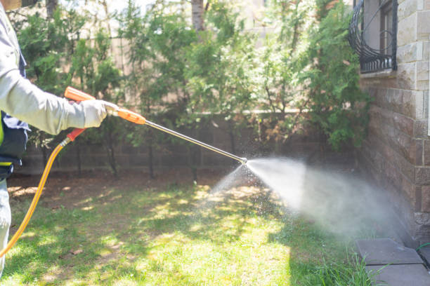 Best Pest Control Near Me in Birch Bay, WA