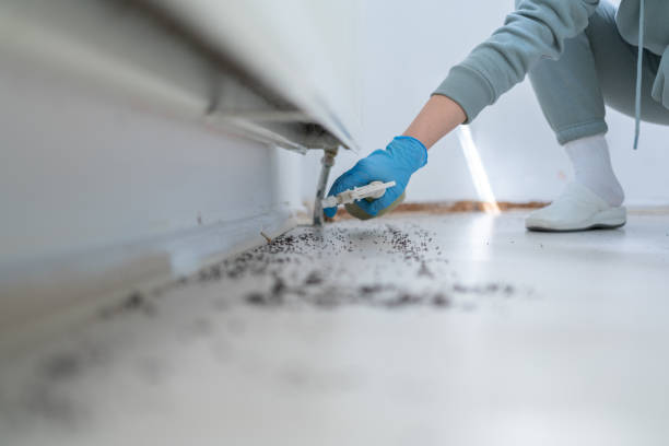 Best Commercial Pest Control Services  in Birch Bay, WA